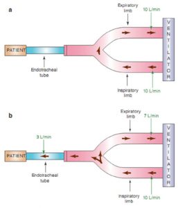 Hình 2.3 Bộ dây máy thở biểu thị cơ chế kích hoạt lưu lượng. (a) Một lượng khí liên tục di chuyển từ nhánh hít vào đến nhánh thở ra của máy thở. Trong ví dụ này, lưu lượng khí liên tục là 10 L/phút. (b) Một nỗ lực hô hấp của bệnh nhân sẽ khiến một số lưu lượng vào bệnh nhân thay vì quay trở lại máy thở. Trong ví dụ này, 3 L/phút lưu lượng vào bệnh nhân, dẫn đến lưu lượng trở lại máy thở ít hơn 3 L/phút. Nếu ngưỡng kích hoạt lưu lượng được đặt ở mức 3 L/phút hoặc ít hơn, nỗ lực hô hấp này sẽ kích hoạt máy thở để cung cấp nhịp thở.