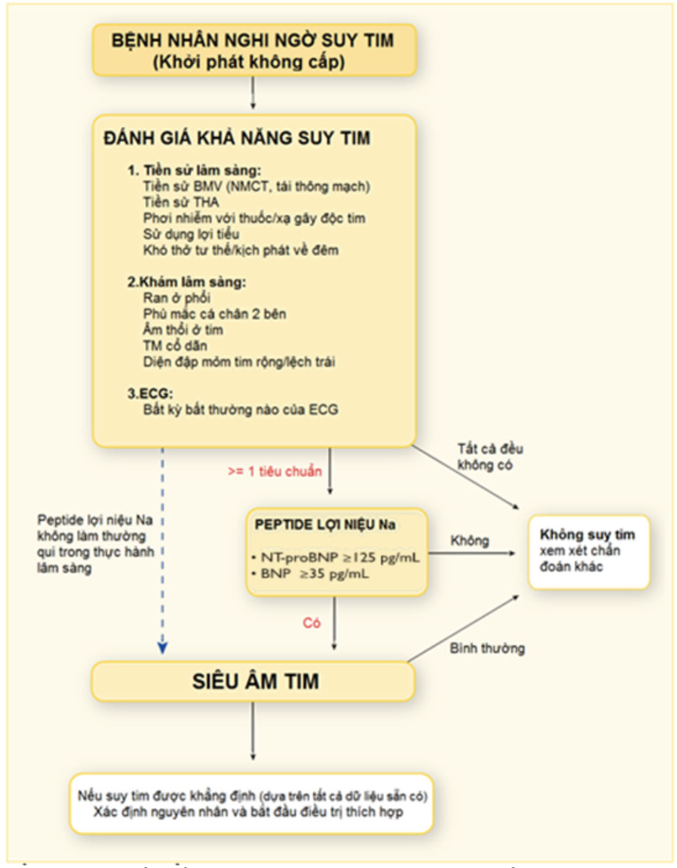 Lưu đồ chẩn đoán suy tim (khởi phát không cấp) theo ESC 2016