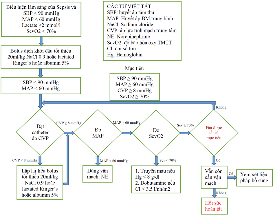 Quản lý Dịch truyền trong Sốc nhiễm trùng
