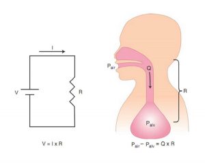 Hình 1.5 Hệ hô hấp được mô hình hóa như một mạch điện. I: Cường độ dòng điện; R: Sức cản; V: Điện áp; Pair: áp lực đường thở gần; Palv: áp lực phế nang; Q: Lưu lượng;