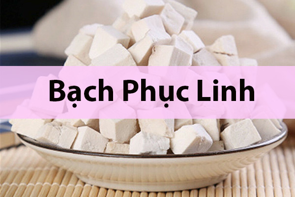 Dược liệu Bạch phục linh