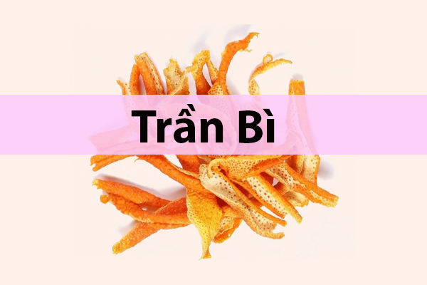 Dược liệu Trần bì