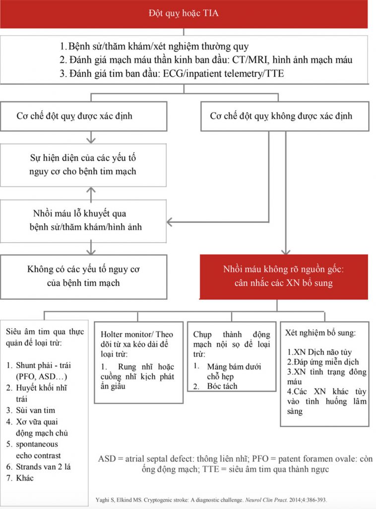 Một sơ đồ tiếp cận để theo dõi chẩn đoán sau đột quỵ ở bệnh nhân CS