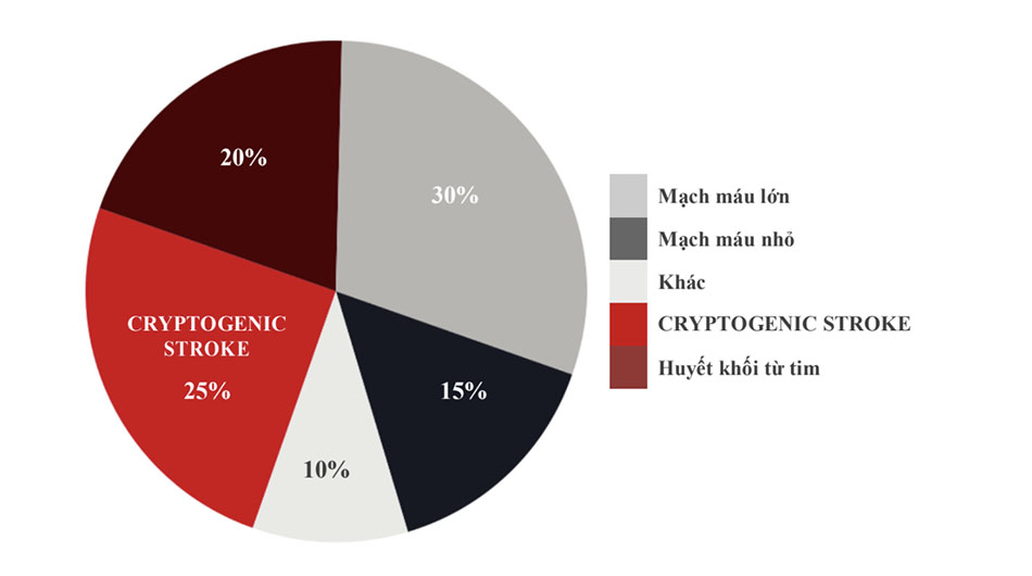 Tỷ lệ của các loại đột quỵ thiếu máu cục bộ