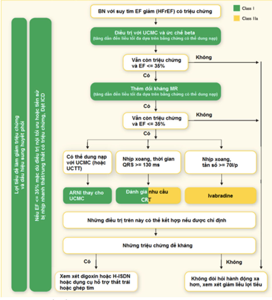 Lưu đồ điều trị bệnh nhân suy tim có EF giảm theo ESC 2016 (HFrEF)