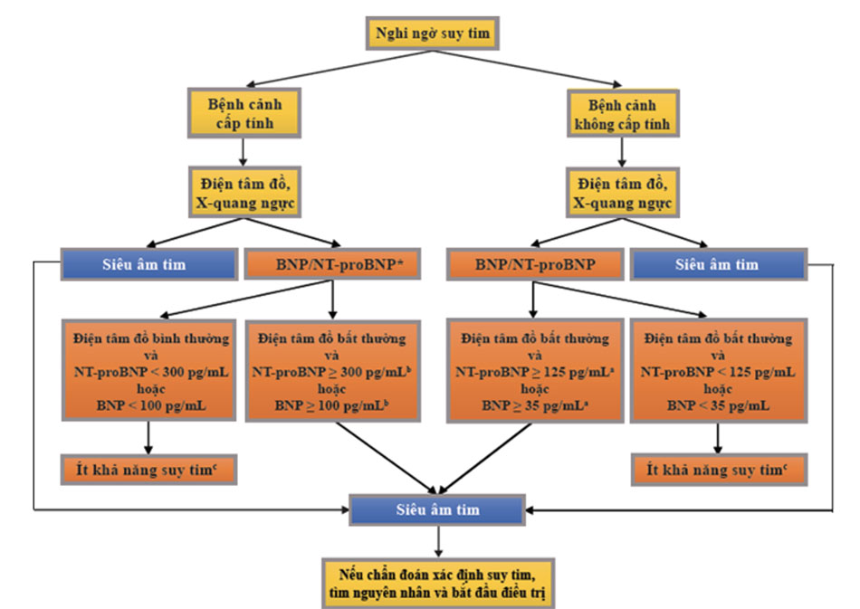 Lưu đồ chẩn đoán suy tim theo ESC 2012