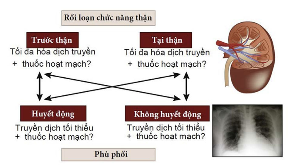 Tình trạng khó xử về phổi/thận trong quá trình hồi sức dịch