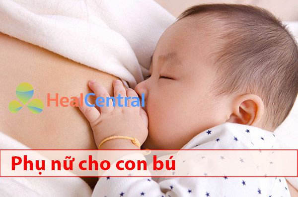 Ảnh hưởng của thuốc Myonal 50mg đến phụ nữ đang cho con bú