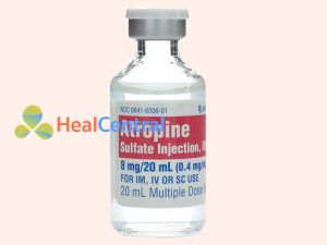Atropin thường được dùng trong điều trị ngộ độc Glycoside trợ tim
