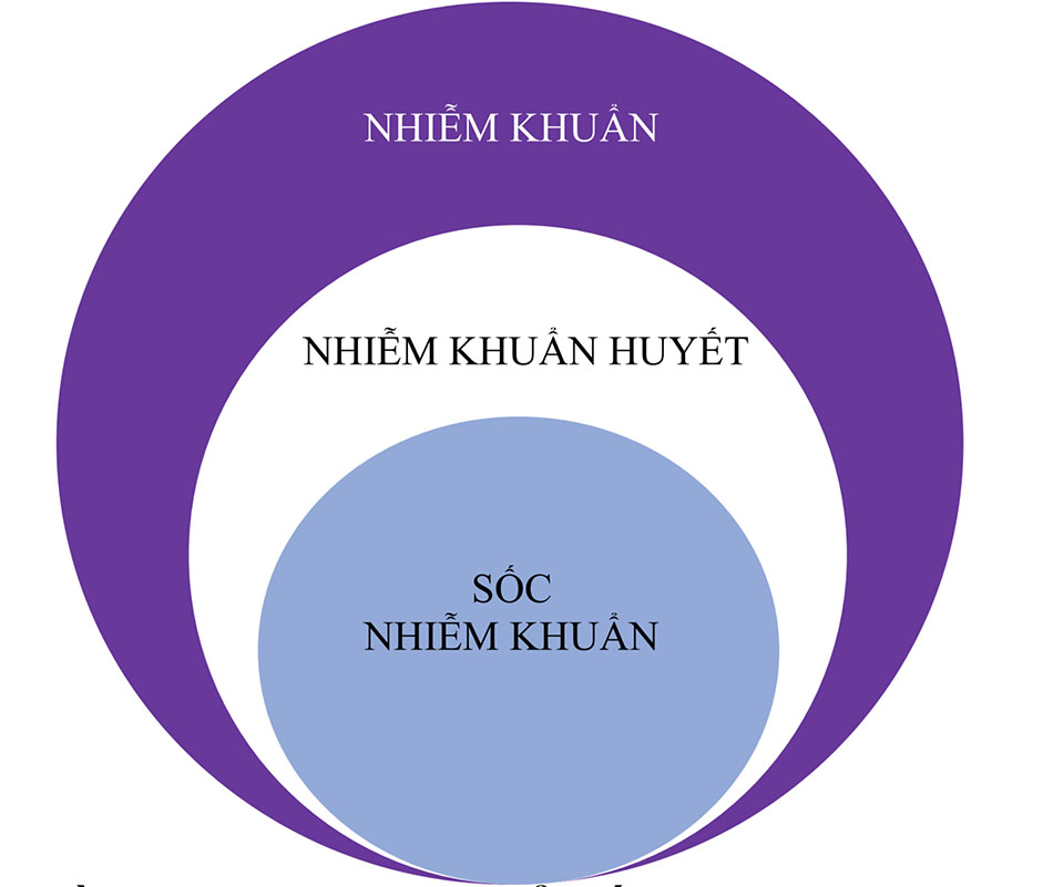 nhiễm khuẩn huyết 