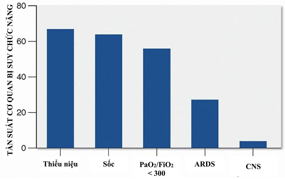 Tỷ lệ hiện mắc suy cơ quan tại thời điểm chẩn đoán nhiễm khuẩn huyết nặng.