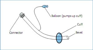 Fig 9 Endotracheal tube