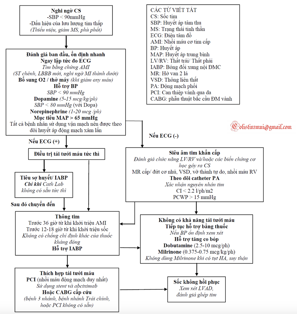Quản lý bệnh nhân Nghi ngờ Sốc Tim