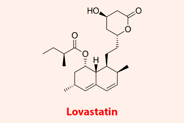 Sporal được chống chỉ định sử dụng đồng thời với Lovastatin