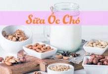 Các loại sữa óc chó tốt nhất hiện nay