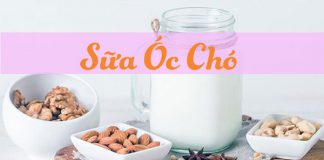 Các loại sữa óc chó tốt nhất hiện nay