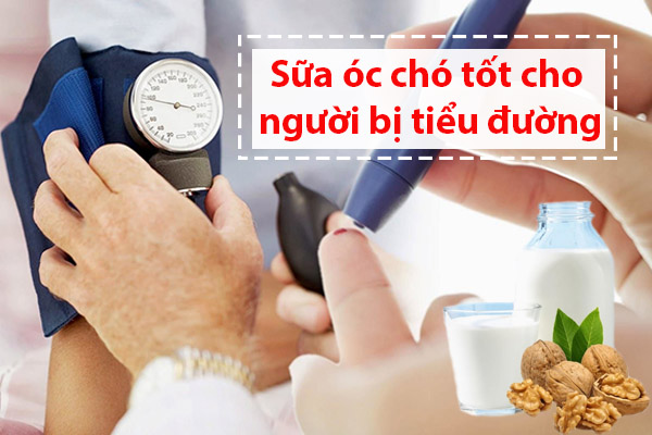 Sữa óc chó rất tốt cho người bị bệnh tiểu đường