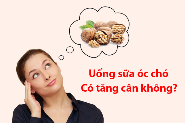 Uống sữa óc chó có tăng cân không?