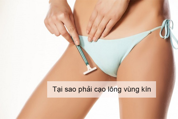 Tại sao phải cạo lông vùng kín