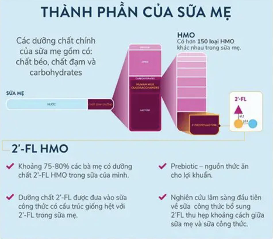 thành phần sữa mẹ