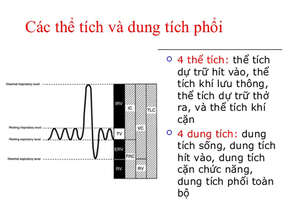 thể tích phổi 