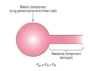 Hình 4.1 Mô hình hai thành phần của hệ hô hấp. Hệ thống hô hấp bao gồm một thành phần sức cản (đường thở) và một thành phần đàn hồi (nhu mô phổi và thành ngực). Pair áp lực đường thở gần; PE: Thành phần đàn hồi của áp lực đường thở gần; PR: Thành phần sức cản của áp lực đường thở gần