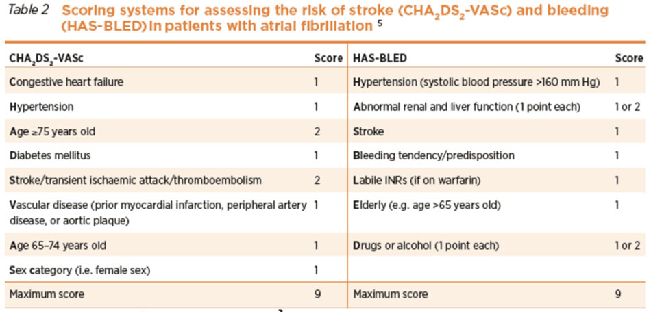 thang điểm CHA2DS-VASc và HAS-BLED