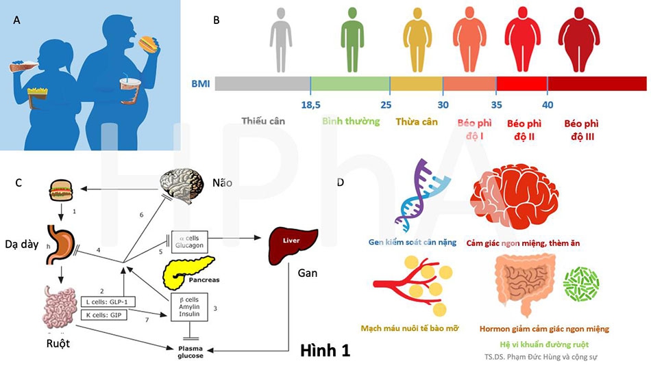 thuốc giảm cân thế hệ mới