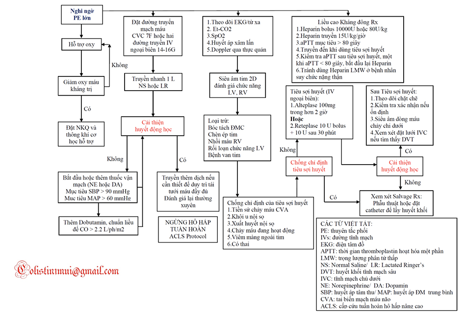 Lưu đồ quản lý đối với Thuyên tắc phổi lớn