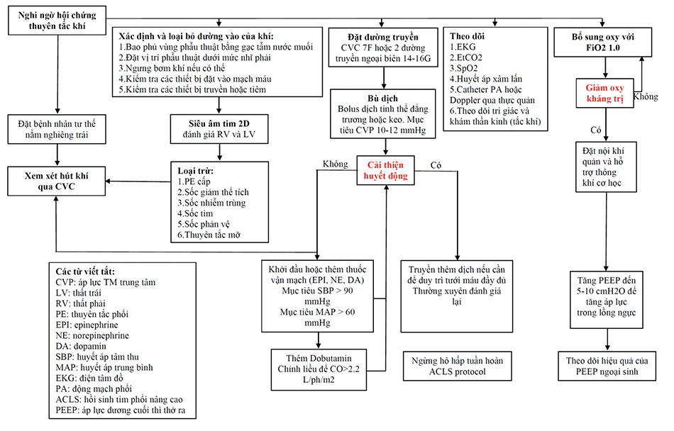 Lưu đồ Quản lý Hội chứng Thuyên tắc Khí