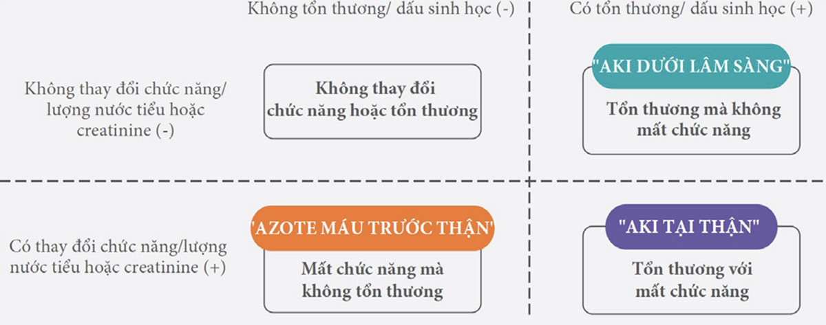 Tổn thương thận cấp liên quan nhiễm trùng huyết