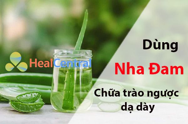 Mẹo chữa trào ngược dạ dày thực quản bằng nha đam