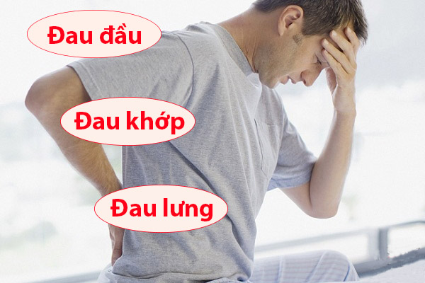 Đối tượng sử dụng Tylenol