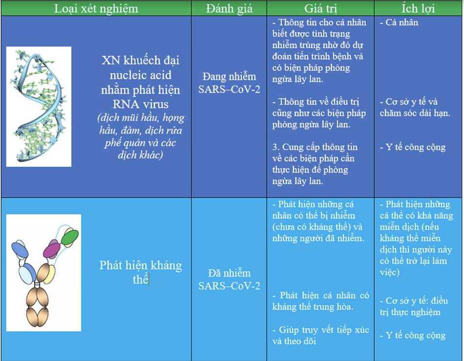  Các xét nghiệm SARS–CoV-2/COVID-19 và ứng dụng trong lâm sàng