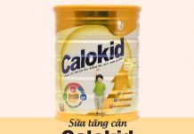 Calokid