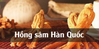 Hồng sâm