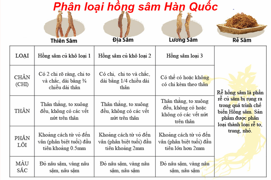 Phân loại Hồng sâm Hàn Quốc