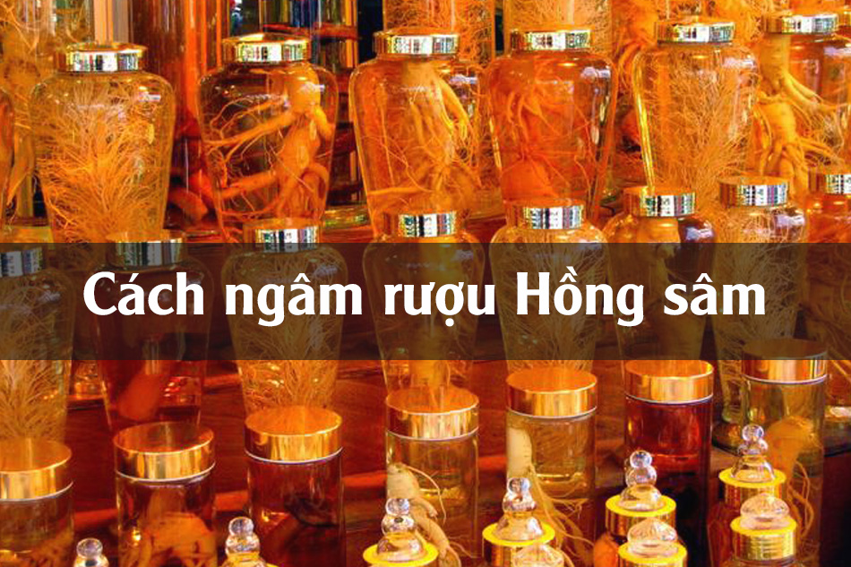 Cách ngâm rượu Hồng sâm