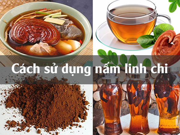 Cách sử dụng nấm Linh chi