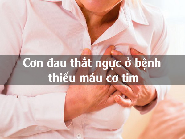 Cơn đau thắt ngực ở bệnh nhân viêm cơ tim