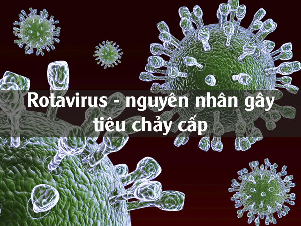 Rotavirus - nguyên nhân chính gây tiêu chảy cấp ở trẻ em