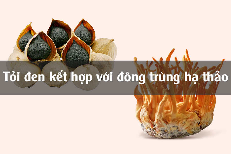 Tỏi đen kết hợp với Đông trùng hạ thảo