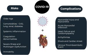 Hình 1. COVID-19 và hệ thống tim mạch.