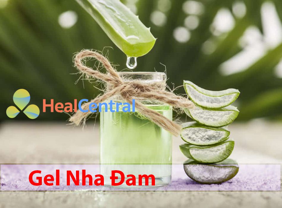 Sử dụng gel nha đam làm mờ sẹo rất hiệu quả