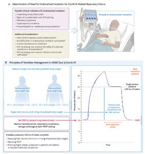 Hình 3. Thông khí cơ học xâm lấn cho bệnh suy hô hấp liên quan đến COVID-19.