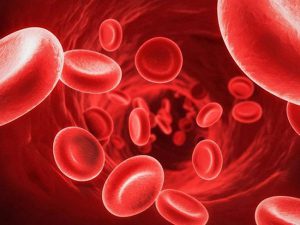 Nhiễm trùng huyết là nhiễm trùng gây ra phản ứng sai lệch của cơ thể và suy cơ quan gây chết người