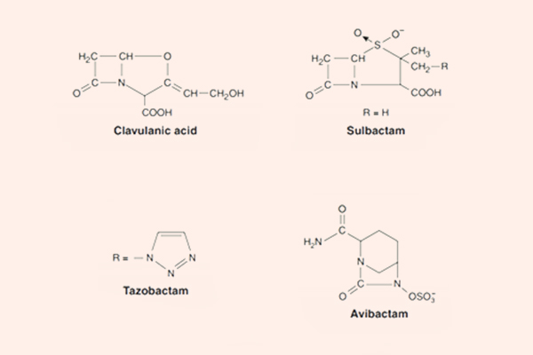 Cấu trúc một số chất ức chế β-lactamase