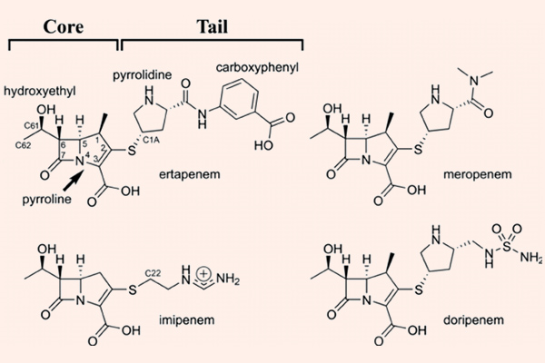 Cấu trúc hóa học của các Carbapenem