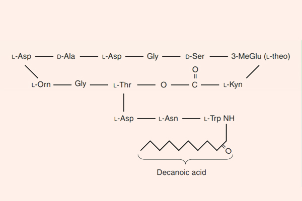 Cấu trúc hóa học của Daptomycin