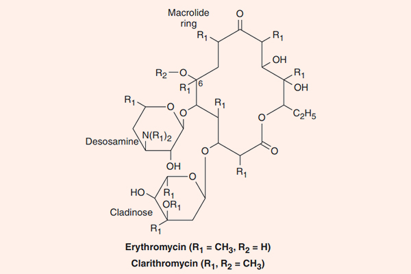 Cấu trúc hóa học của Erythromycin và Clarithromycin